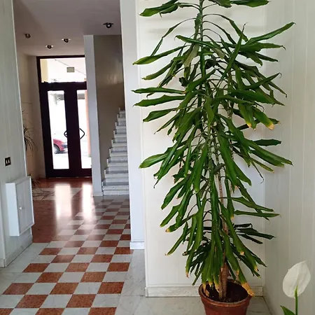 Apartmán Casa Del Mare